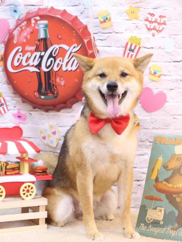 20230913リンちゃん